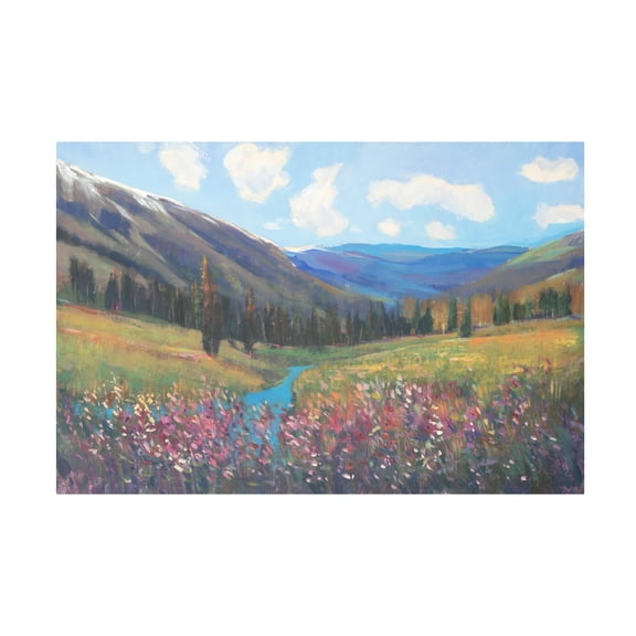 Tim OToole 'Mountain Pass II' Canvas Art