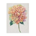 thumbnail image 1 of Tim OToole 'Multicolor Floral I' Canvas Art, 1 of 4