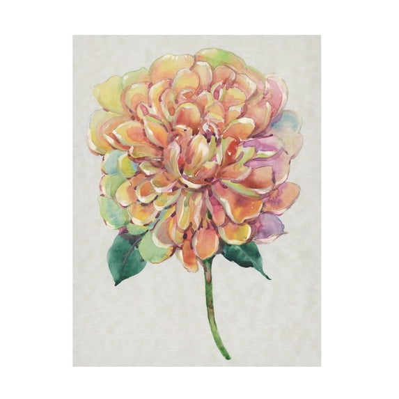 Tim OToole 'Multicolor Floral I' Canvas Art