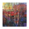 thumbnail image 1 of Tim OToole 'Patchwork Trees I' Canvas Art, 1 of 4