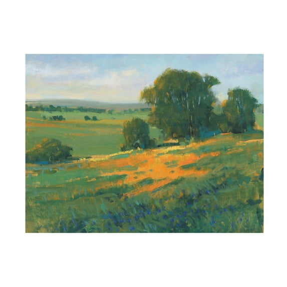 Tim OToole 'Poppy Fields II' Canvas Art