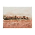 thumbnail image 1 of Tim OToole 'Red Soil II' Canvas Art, 1 of 4