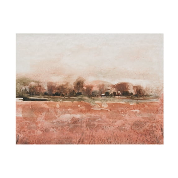 Tim OToole 'Red Soil II' Canvas Art
