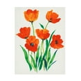 thumbnail image 1 of Tim OToole 'Red Tulips In Bloom I' Canvas Art, 1 of 3