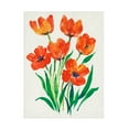 thumbnail image 1 of Tim OToole 'Red Tulips In Bloom II' Canvas Art, 1 of 3