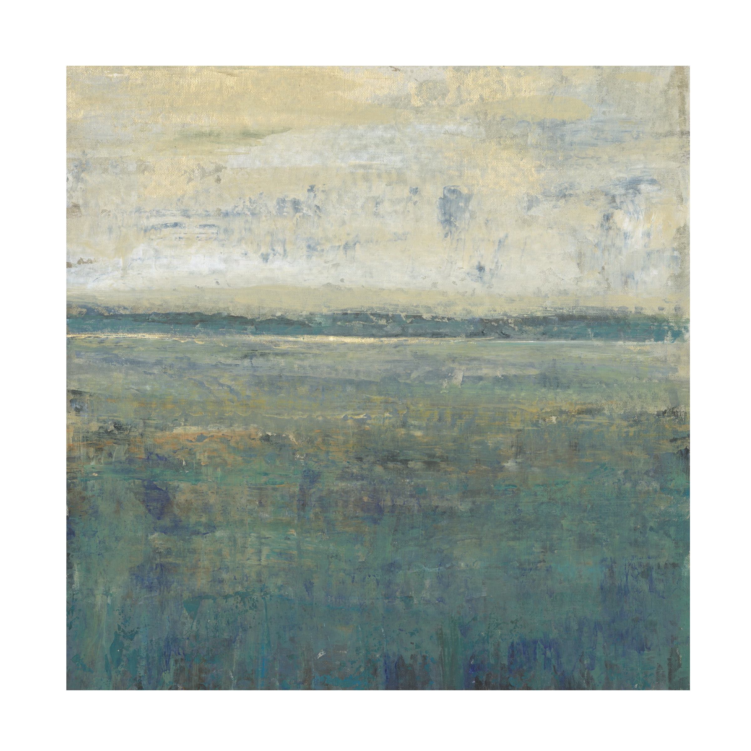 Tim OToole 'Sage Terrain II' Canvas Art