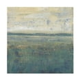 thumbnail image 1 of Tim OToole 'Sage Terrain II' Canvas Art, 1 of 3