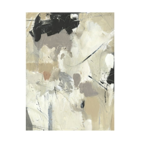 Tim OToole 'Scattered Remnants I' Canvas Art