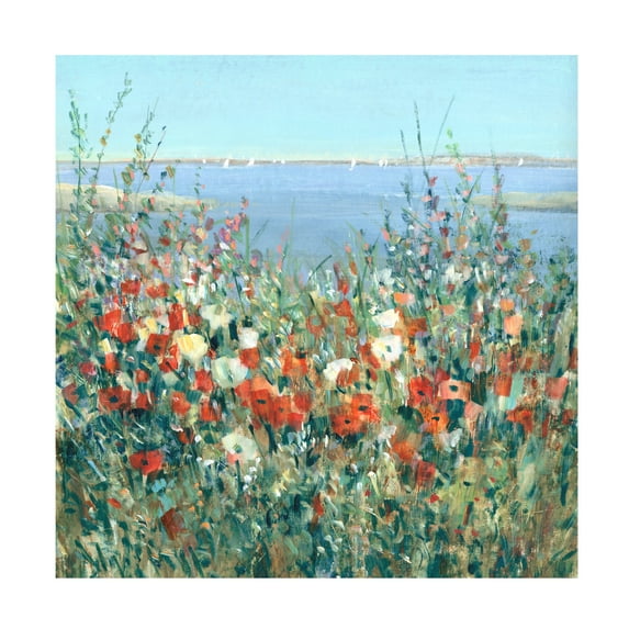 Trademark Fine Art Tim OToole Seaside Garden II Canvas Wall Art - 24x24
