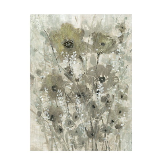 Tim OToole 'Shimmering Flowers II' Canvas Art