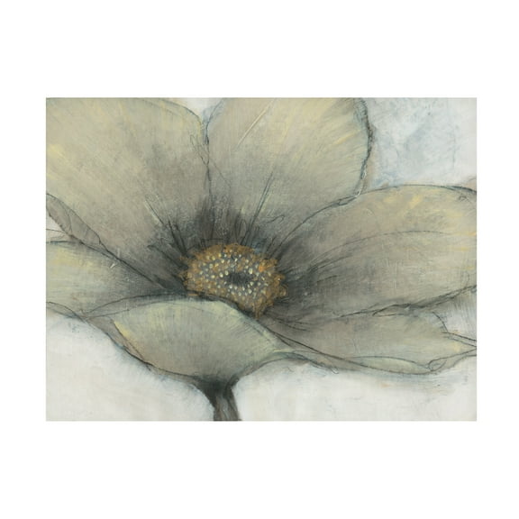 Trademark Fine Art Tim OToole Single Cream Bloom II Canvas Wall Art - 14x19