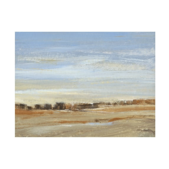 Tim OToole 'Soft Afternoon IV' Canvas Art