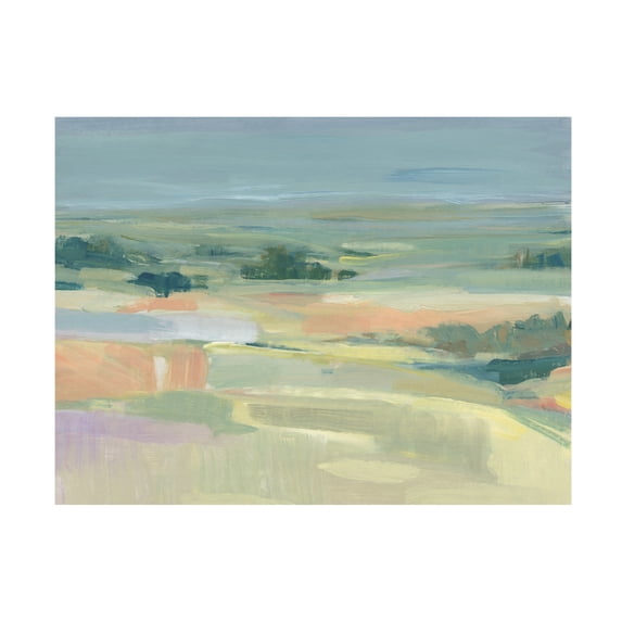 Tim OToole 'Soft Terrain II' Canvas Art