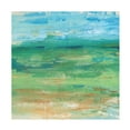 thumbnail image 1 of Tim OToole 'Spring Green Pasture II' Canvas Art, 1 of 3