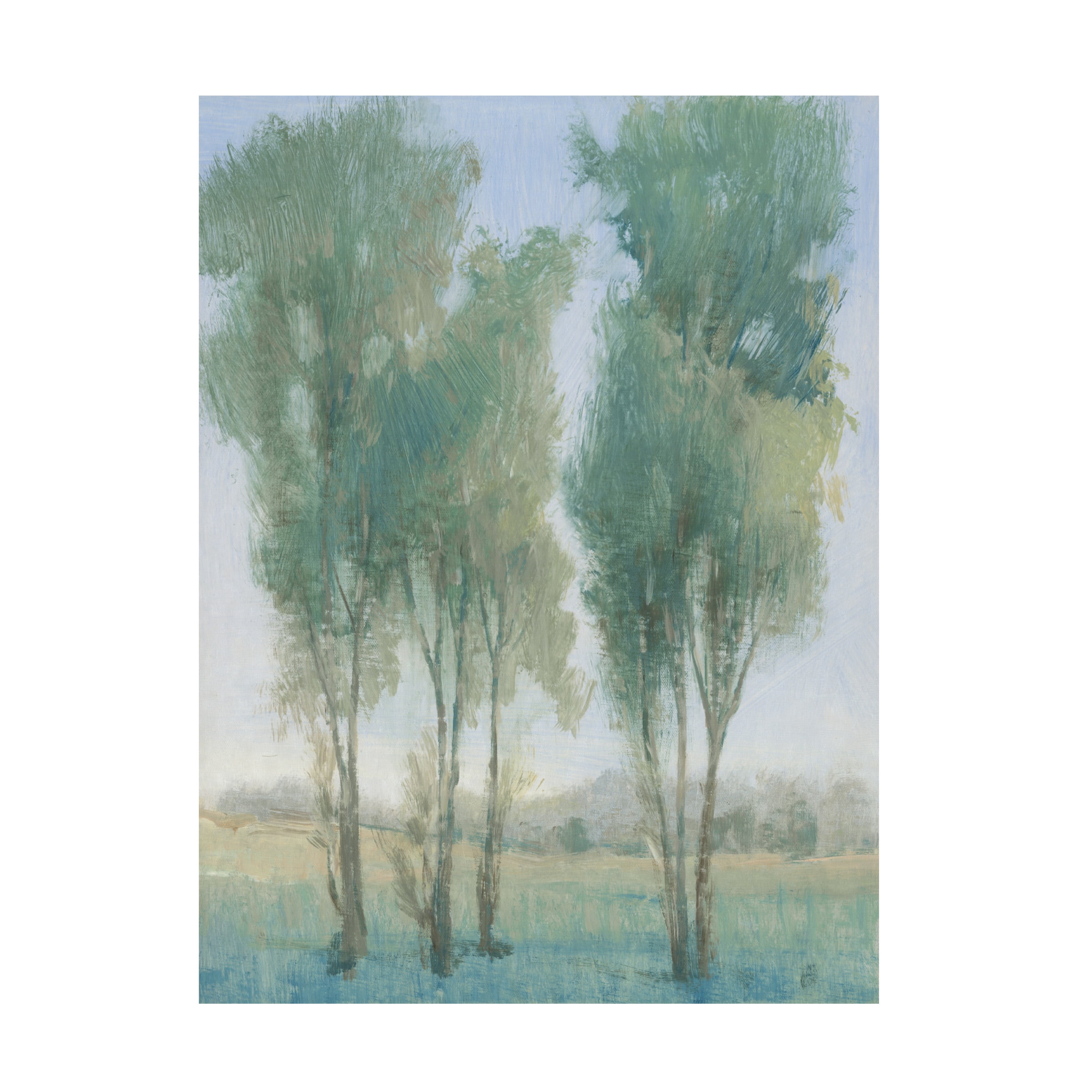 Tim OToole 'Tree Grove II' Canvas Art