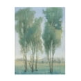 thumbnail image 1 of Tim OToole 'Tree Grove II' Canvas Art, 1 of 3