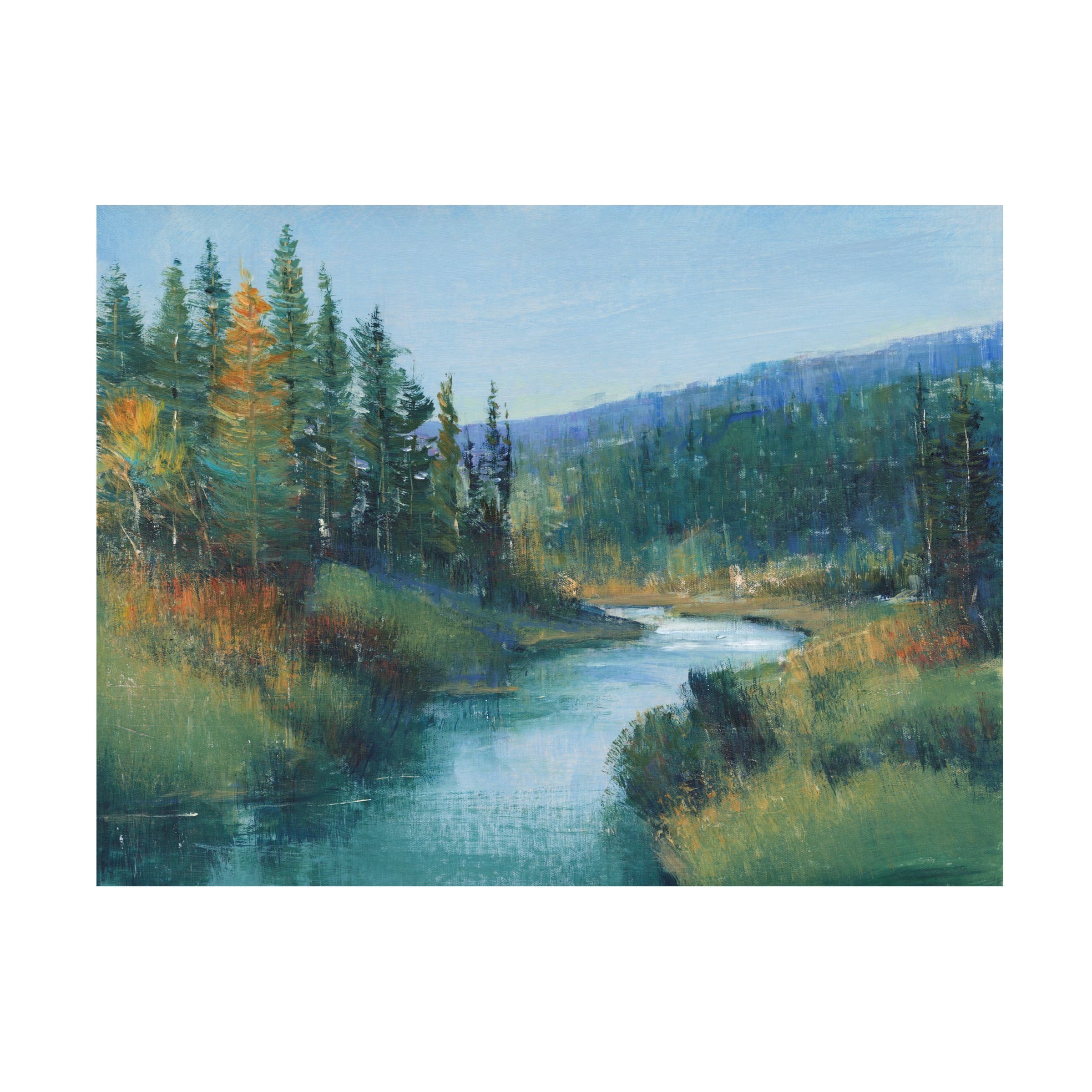 Tim OToole 'Trout Stream I' Canvas Art
