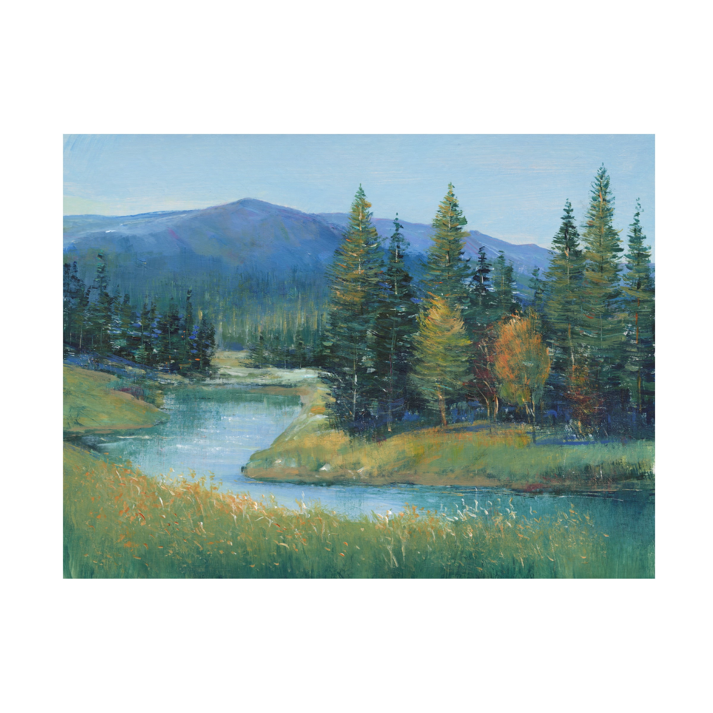 Tim OToole 'Trout Stream II' Canvas Art