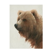 Tim OToole 'Western Portrait I' Canvas Art