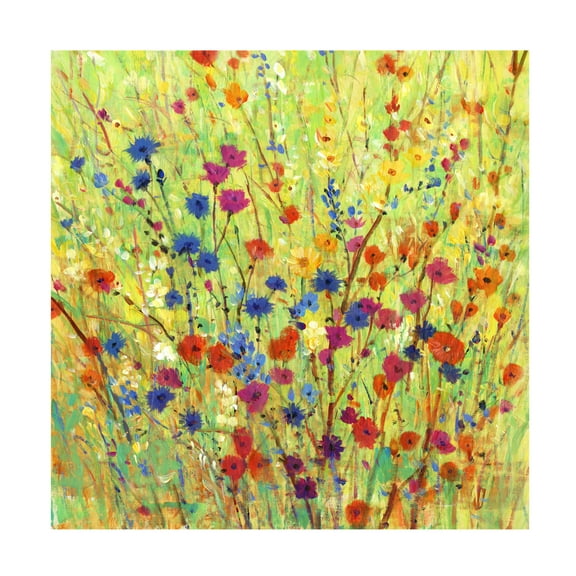 Tim OToole 'Wildflower Patch I' Canvas Art