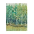 thumbnail image 1 of Tim OToole 'Woodland Edge I' Canvas Art, 1 of 3