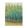 thumbnail image 1 of Tim OToole 'Woodland Edge II' Canvas Art, 1 of 3
