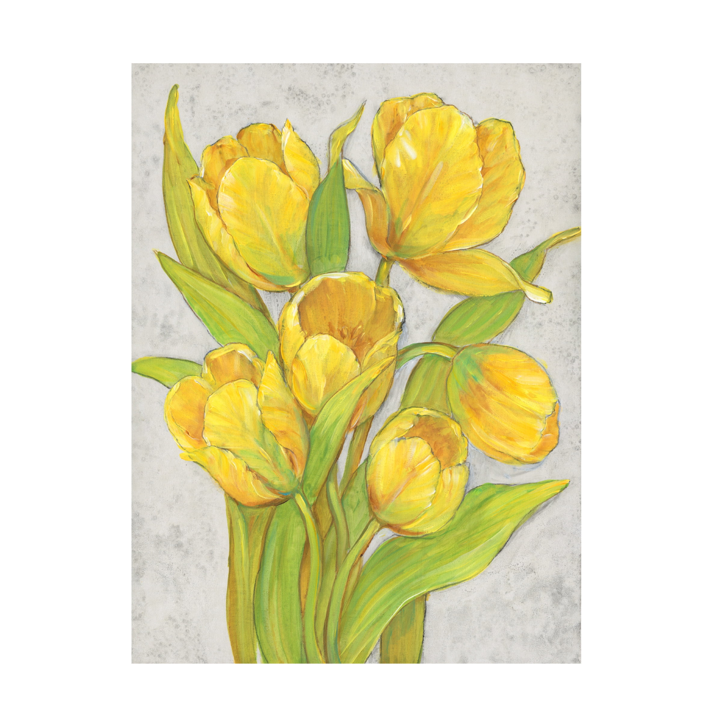 Tim OToole 'Yellow Tulips II' Canvas Art
