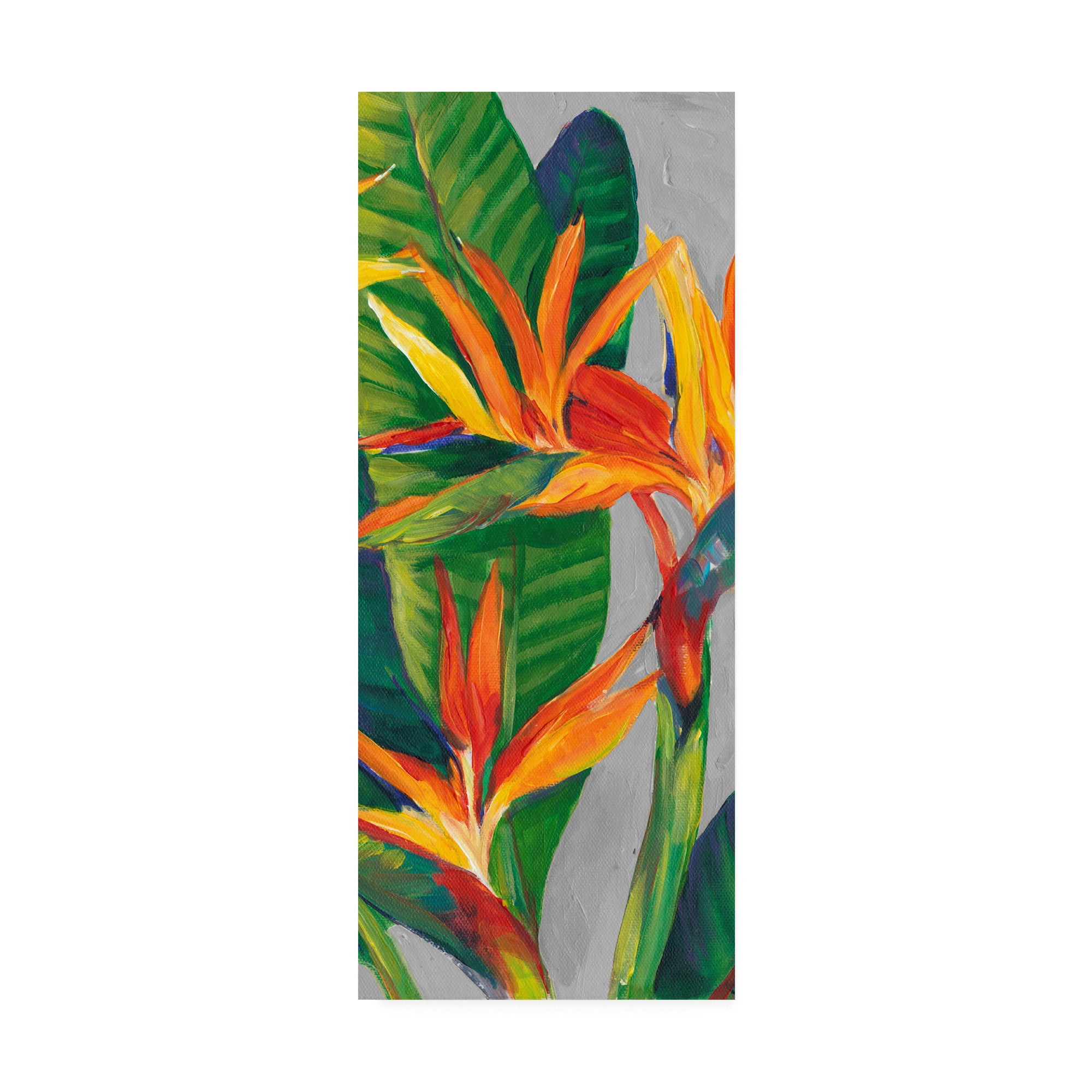 47" x 20" Orange and Green Bird of Paradise Canvas Art