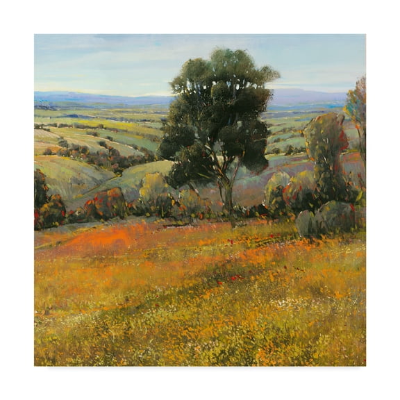 Tim Otoole 'Field In Summer' Canvas Art