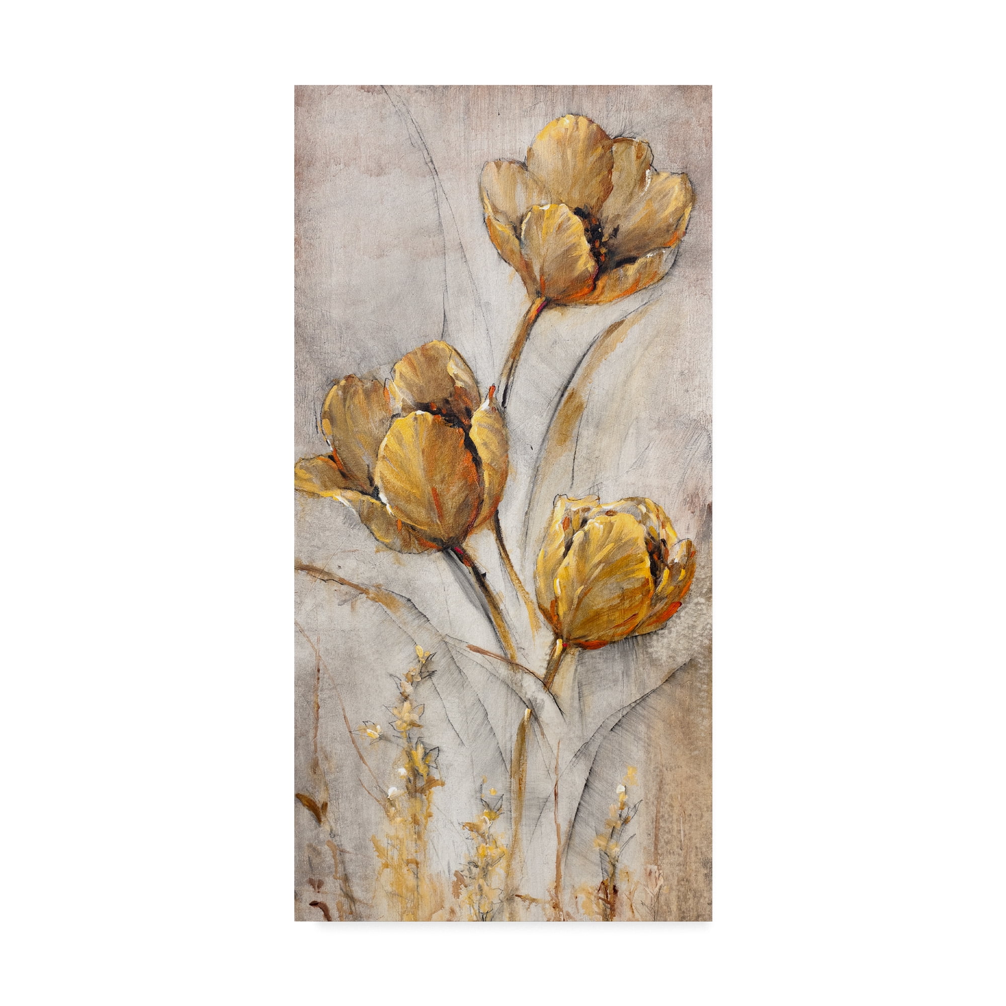 Tim Otoole 'Golden Poppies On Taupe I' Canvas Art