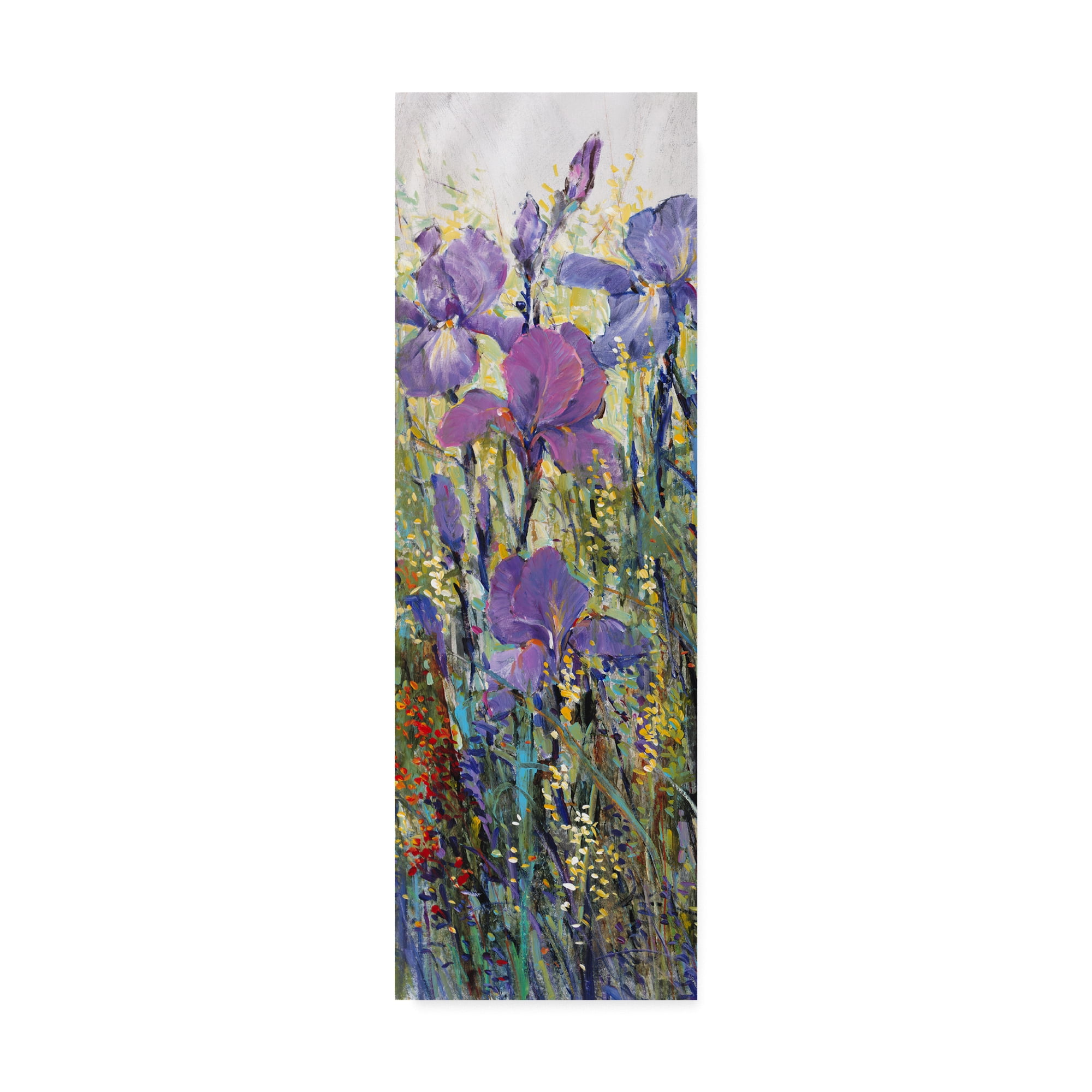 Tim Otoole 'Iris Field I' Canvas Art
