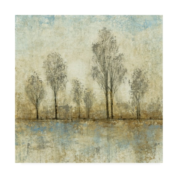 Tim Otoole 'Quiet Nature Iii' Canvas Art