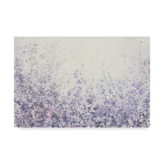 Tim Otoole 'Soft Focus Ii' Canvas Art