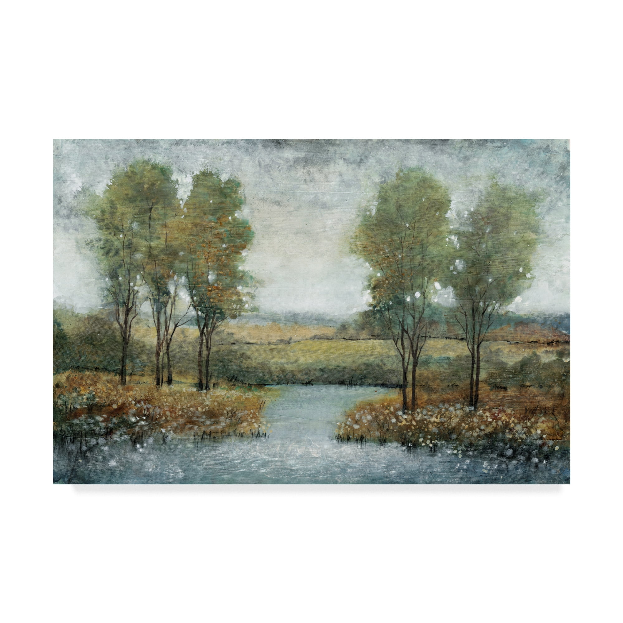 Tim Otoole 'Stream Side Ii' Canvas Art