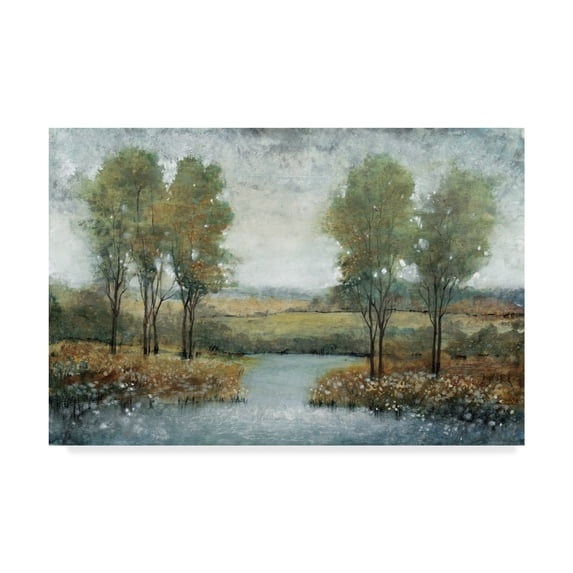 Tim Otoole 'Stream Side Ii' Canvas Art