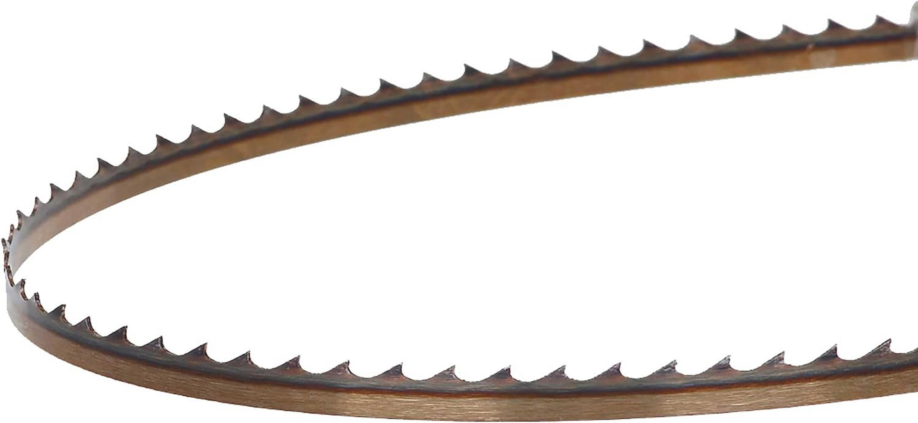 Carter ACCURIGHT Bandsaw Blade 111 X 1/8 X 14 TPI