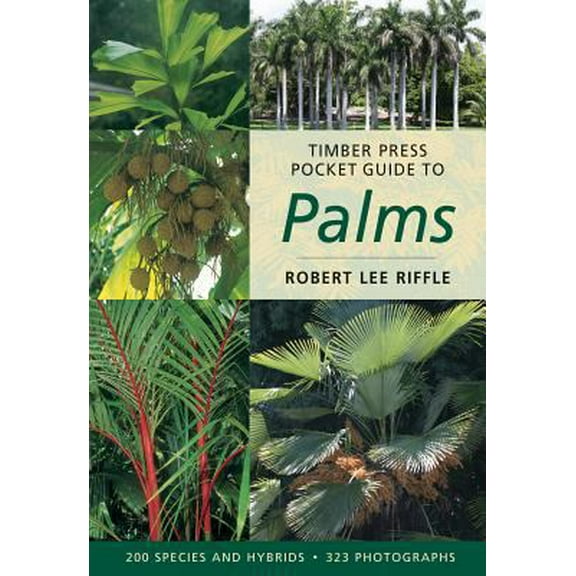 Pre-Owned Timber Press Pocket Guide to Palms (Paperback) 0881927767 9780881927764