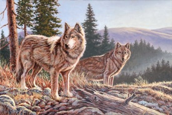 Timber Rose Canvas Art - Richard De Wolfe (17 x 11)