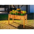Timber Valley Cedar Wood Elevated Garden Bed Raised Planter Box, Unique