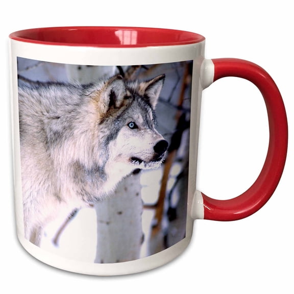 3drose, Timber Wolf, Canis Lupus - Na02 Dno0318 - David Northcott, 11oz Two-tone Red Mug
