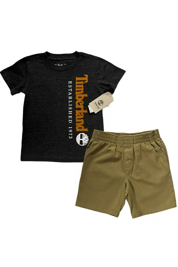 Baby Boys T-Shirt and Shorts Set Size 24 Months Dark Gray-Beige