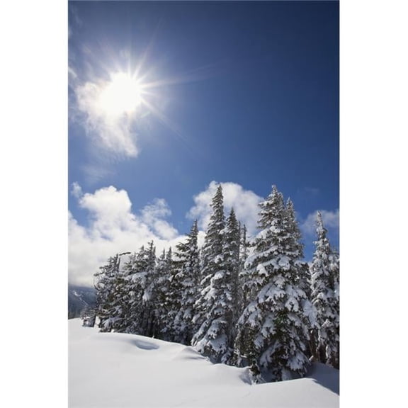 Timberline, Oregon Cascades, United States of America - Snow On The Trees & The Sunlight On Mount Hood Poster Print, 12 x 19