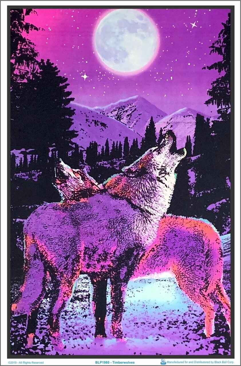 Timberwolves Howling at Moon Laminated Blacklight Poster - 23.5