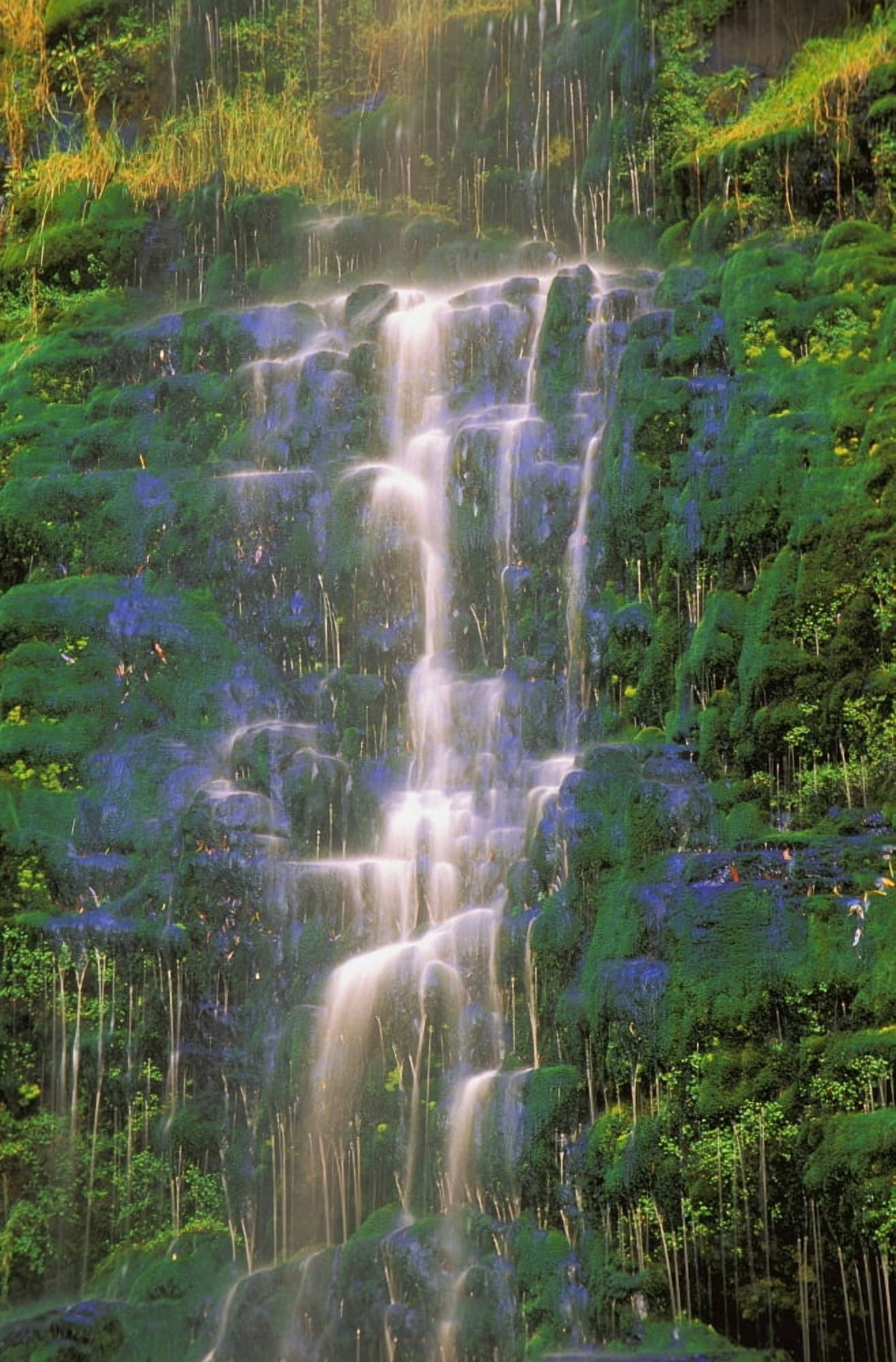 Time Delay Of Waterfall On Green Cliff Canvas Art - Carson Ganci Design Pics (11 x 17)