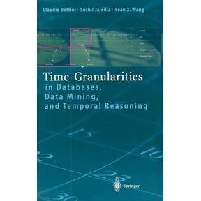 Time Granularities in Databases, Data Mining, and Temporal Reasoning, (Hardcover)