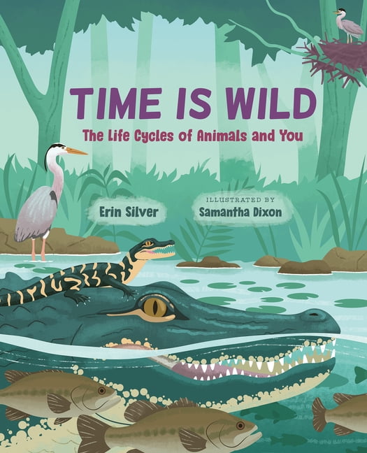 Time Is Wild: The Life Cycles of Animals and You, (Hardcover)