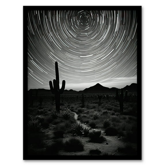 Time Lapse Night Sky Star Trails Across The Night Sky Black White Desert Cactus Artwork Framed Wall Art Print A4