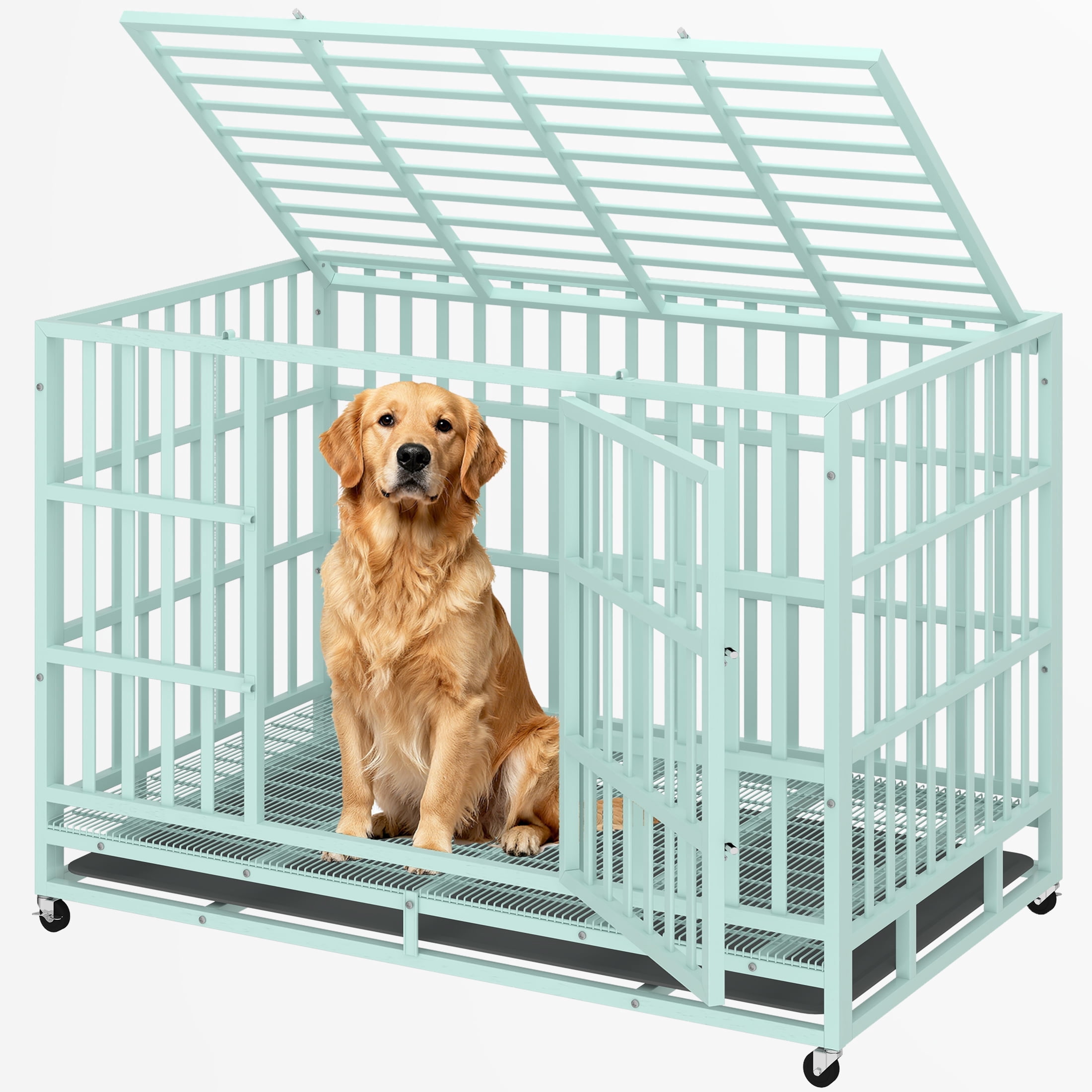 TIME RAY 48" Dog Crate, Heavy Duty Dog Crate Cage for Outdoor and Indoor with Removable Tray,Green