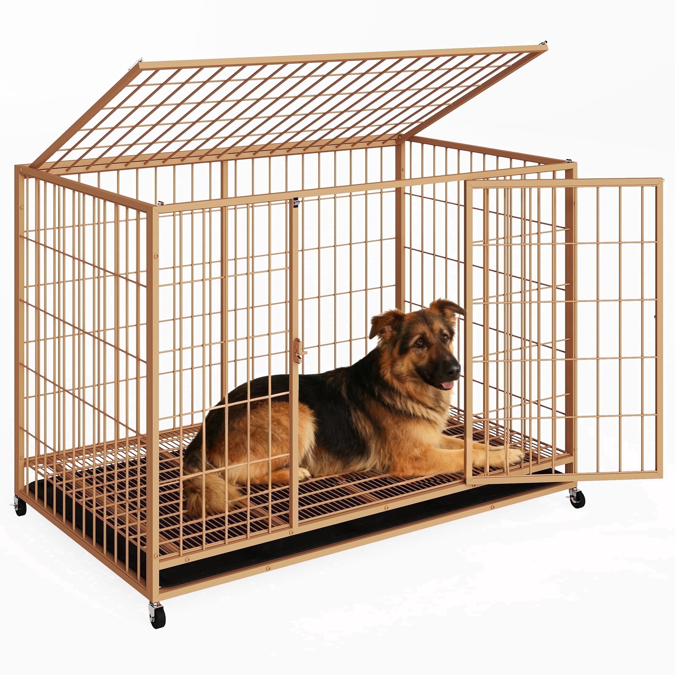TIME RAY 48 inch Metal Wire Dog Crate for Large Dogs with Tray, Double Door, Puppy Dog Cage for Yard Indoor Outdoor Use,XL Dog Cage Kennel,Orange
