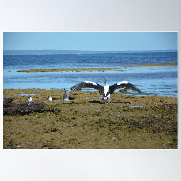 Time To Take Off Poster Wall Art, Modern Wall Decor For Living Room Bedroom, 8x12 UNFRAMED